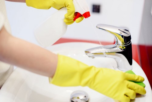 Kitchen and bathroom domestic cleaning tasks in a Highbury flat or house