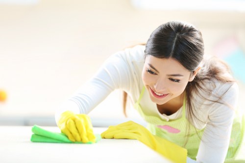 Highbury cleaners providing detailed dusting and surface care