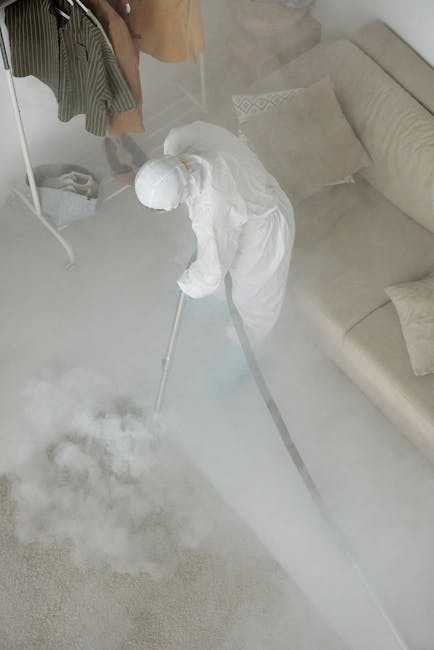 A professional cleaner dressed in a white protective suit, mask, and blue gloves is performing surface cleaning on a plush beige carpet in a modern living room using a steam cleaning machine. The room features a large window allowing natural daylight, with decorative potted plants on the windowsill and a tall potted plant nearby. To the right, there is a wooden bookshelf filled with books, photo frames, and decorative items, and the light-colored wooden flooring and white walls create a bright, clean atmosphere. The scene highlights thorough carpet deep cleaning and sanitisation, showcasing the expertise of Cleaners Highbury in domestic cleaning services.